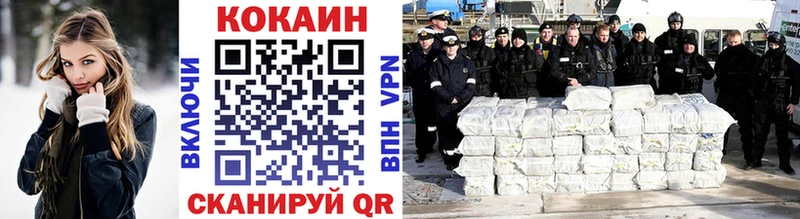 цены   Ельня  COCAIN Fish Scale 