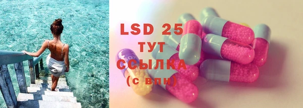 PSILOCYBIN Аркадак