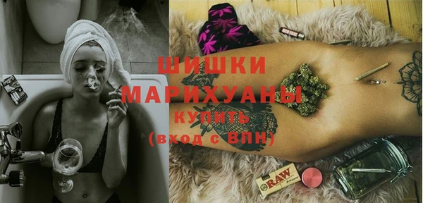 PSILOCYBIN Аркадак