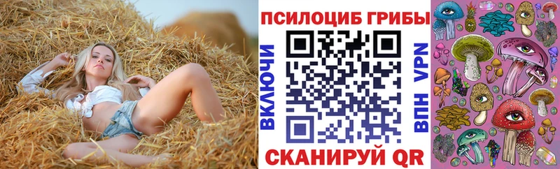 Галлюциногенные грибы Psilocybe  OMG как войти  Ельня  купить закладку 